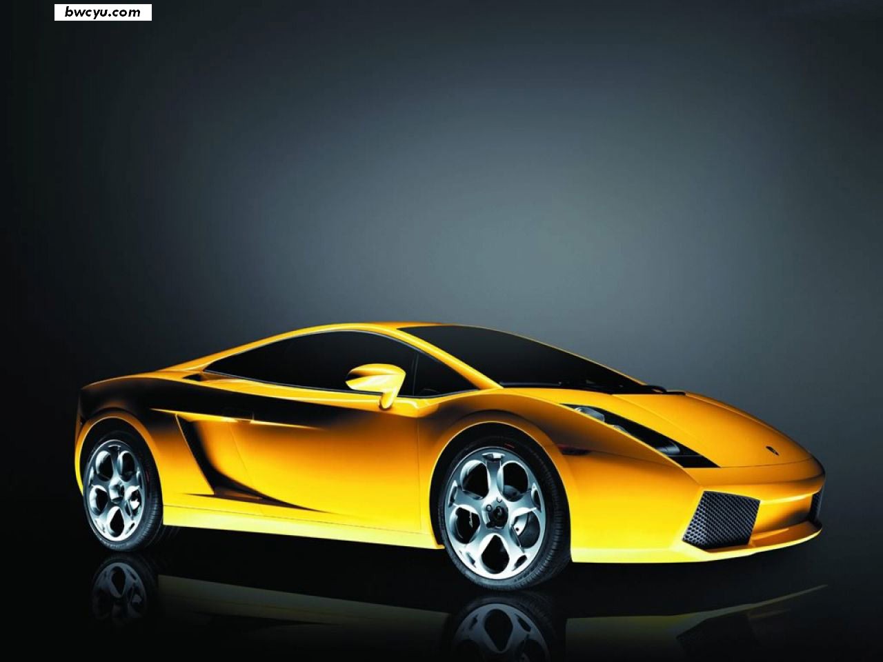 lamborghini_gallardo.jpg