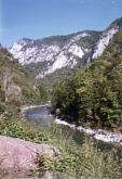 biocil_bjela2.jpg (6650 bytes)