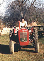 tasa.jpg (21421 bytes)