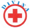 divina_logo.jpg (3906 bytes)